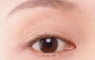 ��Ƥ����Ԥ�� ��ϸ��һ����Ƥ������Ԥ��