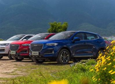 ʮ��������� ������������Щ���ʷǷ��ĳ���