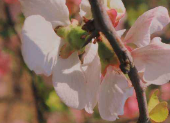 ������д����ԵĶ��� һ��������Ҫ���¿�ʼ