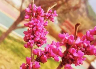 ������д����ԵĶ��� һ��������Ҫ���¿�ʼ