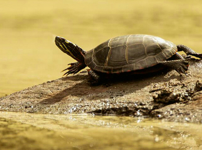 �������ڹ��Ԣ������� �ܼ�֤�˼����������˥