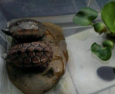 �������ڹ��Ԣ������� �ܼ�֤�˼����������˥