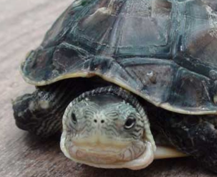 �������ڹ��Ԣ������� �ܼ�֤�˼����������˥