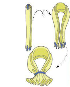 小方丝巾的系法 小方丝巾最常见的几种系法