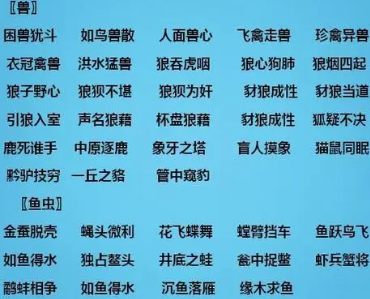 �й������ȫ