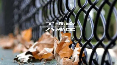 ��Ы��Ů�˵�ʮ���ص� �ڸ��鷽����ֵķǳ�����