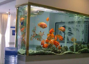 金鱼缸摆放在家里什么位置好 有流年财位