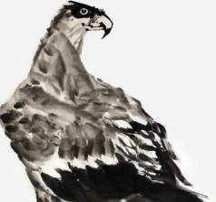 ��ӥ��������Ԣ�� �������ӵĸɾ��ͺ㾢