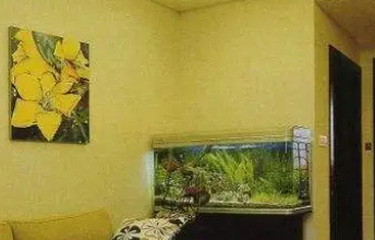 金鱼缸摆放在家里什么位置好 有流年财位