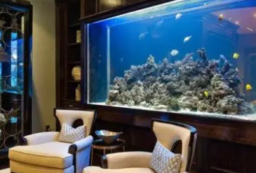 金鱼缸摆放在家里什么位置好 有流年财位