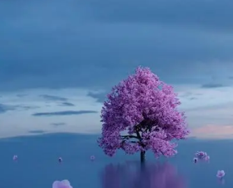 ǿ�߰�����¼ �һ��ס�Լ������ģ��