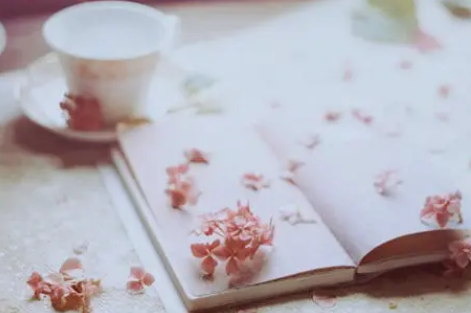 ǿ�߰�����¼ �һ��ס�Լ������ģ��