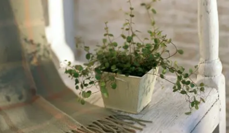 ǿ�߰�����¼ �һ��ס�Լ������ģ��