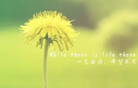 Ů��ת�˾۲�΢���� ϣ������ܹ�ϲ��