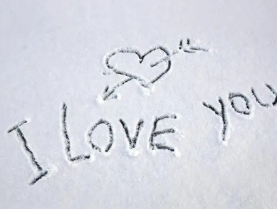 2769433���׵���˼ ��ʲô��ʾ���׵ķ���