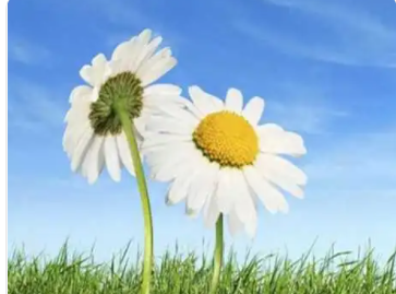 Ů��ת�˾۲�΢���� ϣ������ܹ�ϲ��