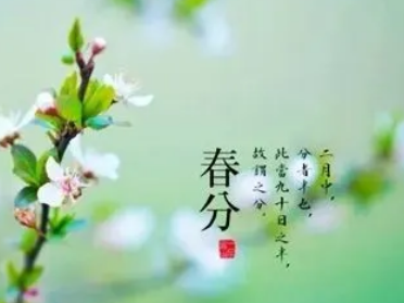 ���ֹ�ʫ��ʮ���� �����������Ľ���