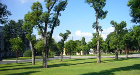 ��٩�����ľ���