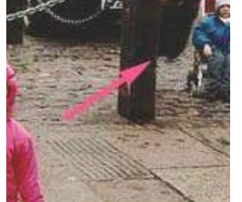 ������������Ц��ͼƬ �ձ�Ů���ֲ���Ц��