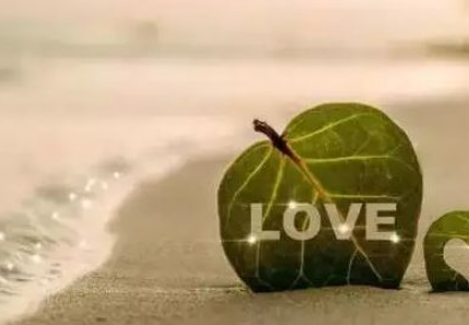 10����̵İ���С����