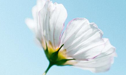 ��٩�����ľ���