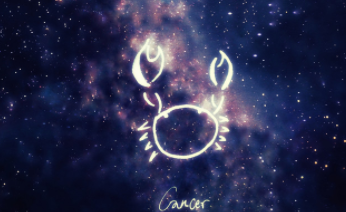 ����ʮ������Ь����Щ ����������Ь