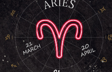 ����ʮ������Ь����Щ ����������Ь