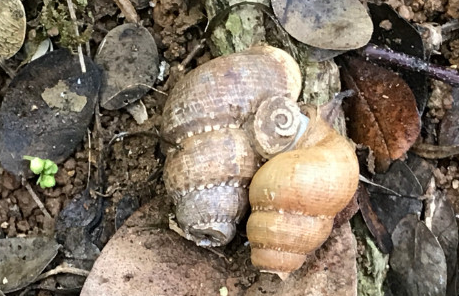 ʮ�ֲ��ܳԵ���ͼƬ ��ʲô���ǲ����ԳԵ���