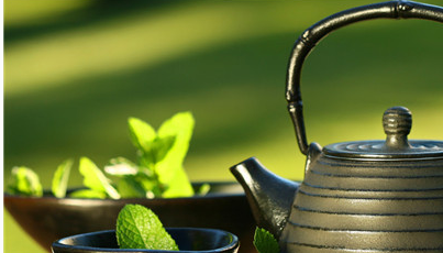 大肚子茶的功效与作用 大肚子茶的危害