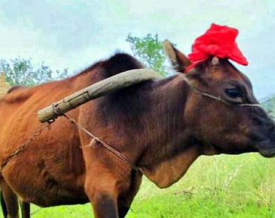 ��Щ������־�������� ���������������ٵ�