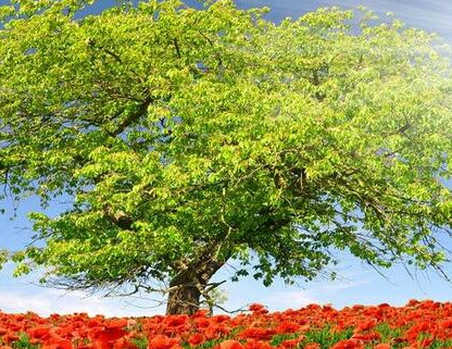 ��Щ������־�������� ���������������ٵ�