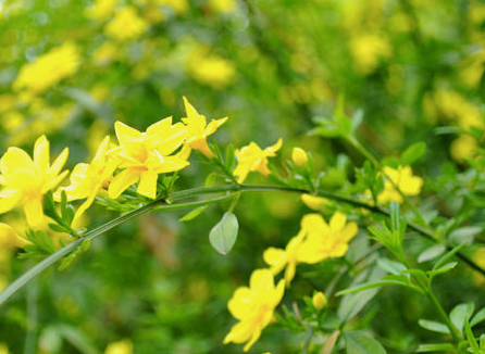 ��Щ������־�������� ���������������ٵ�