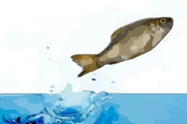 �μ����ˮ����������ʲô���� ������ͻ�ƺ�����