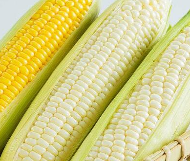 九阳豆浆机做玉米汁的方法 很多人用它来做各种的汁