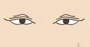 ����Ƥ������Ԥ�� �����������������ֵ�˵��