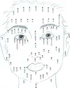 ��׼������ͼ�� �沿�������