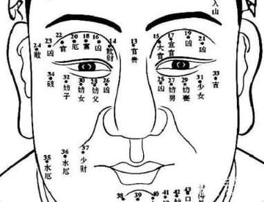 ��׼������ͼ�� �沿�������