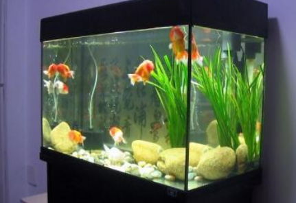 ��׵ķ�ˮ���� �������ڷ���ɳ������