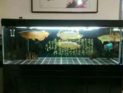 ��׵ķ�ˮ���� �������ڷ���ɳ������