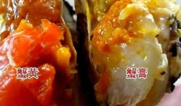 з����ʲô���� �������з����������