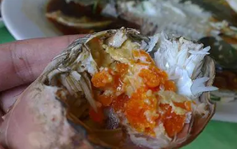 з����ʲô���� �������з����������