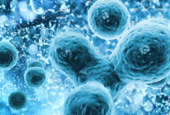 ����ʪ��ͼ֢״Ů �����ļ����Ƿǳ����