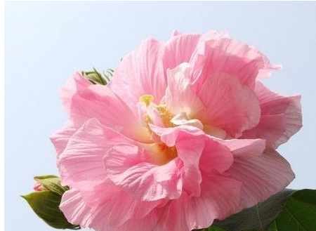 �������е��л���ʲô ��һ���ĳ����л���ȻҲ�ǲ�һ����