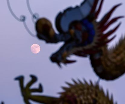 33��������� ���������Ȼ����