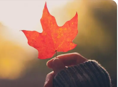 ��������������εľ���˵˵����