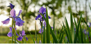 �β����ͼƬ ��ͬ��ɫ�����Ų�ͬ��Ԣ��