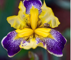 �β����ͼƬ ��ͬ��ɫ�����Ų�ͬ��Ԣ��