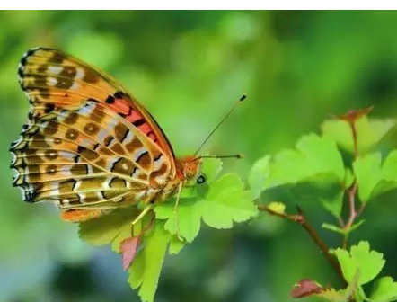 ��������50��ʫ��