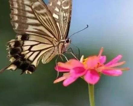 ��������50��ʫ��