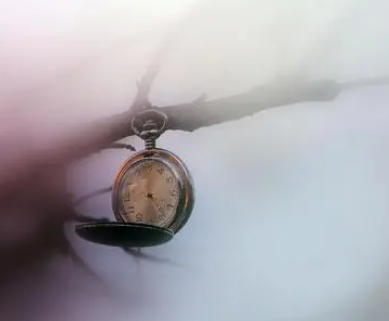 Ů��΢���������Ŵ������